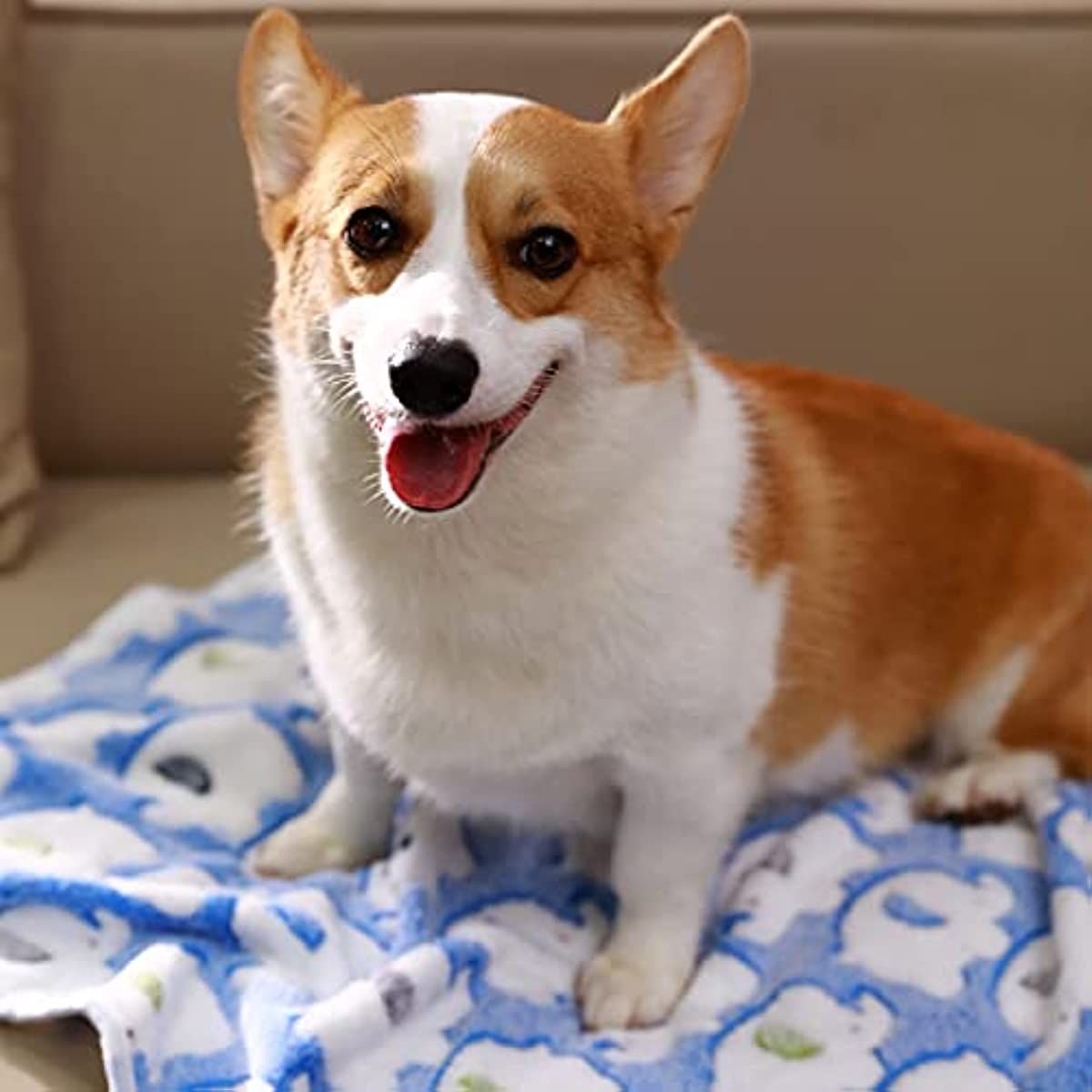 1 Pack 2 Blankets Super Soft Fluffy Premium Cute Elephant Pattern Pet Blanket Flannel Throw for Dog Puppy Cat - DelightsDownSouth