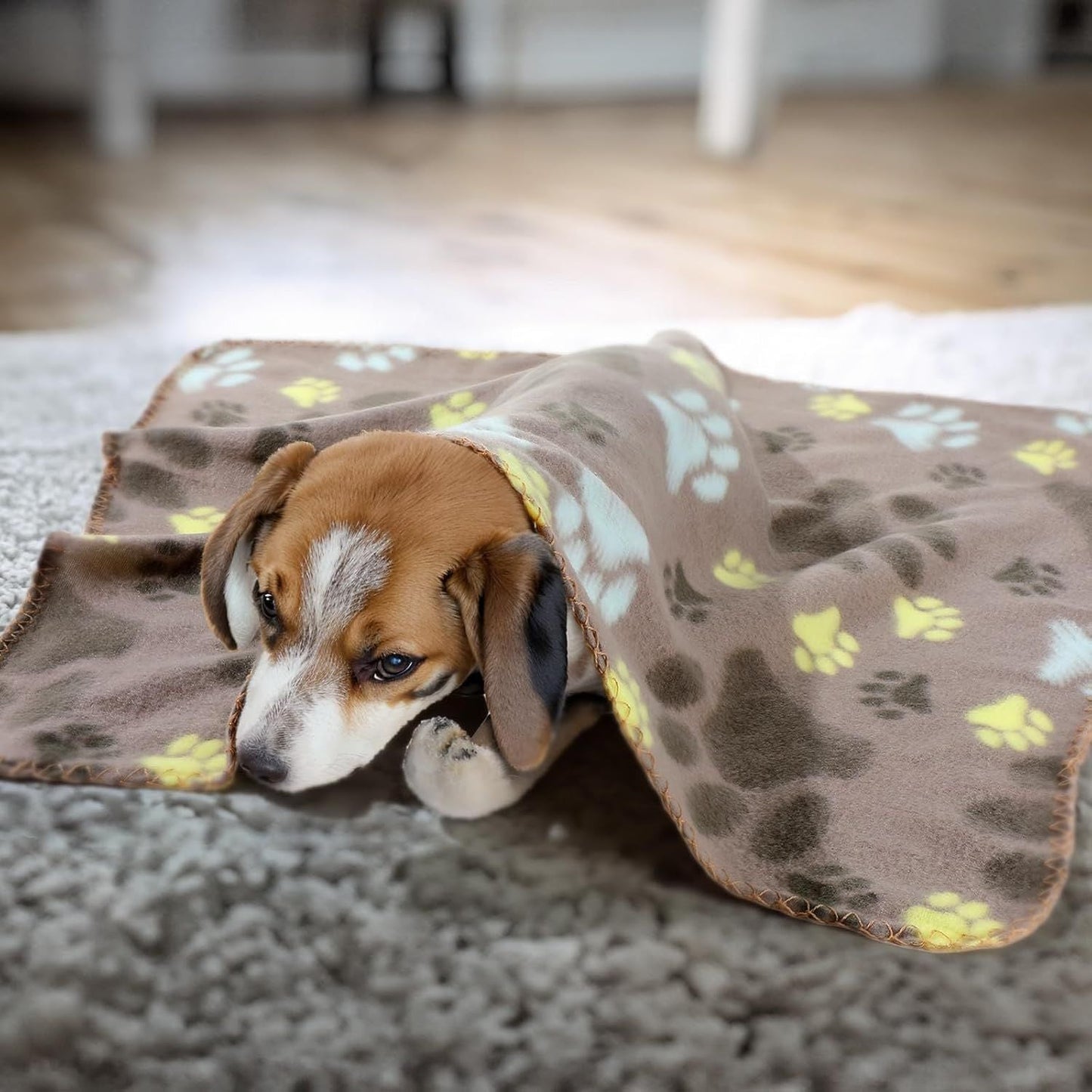 10 Pieces Pet Blankets with Paw Print Dog Cat Fleece Blankets Soft Warm Sleep Mat Pad Bed Cover for Kitten Puppy and Other Small Animals, 24 x 28 Inch - DelightsDownSouth