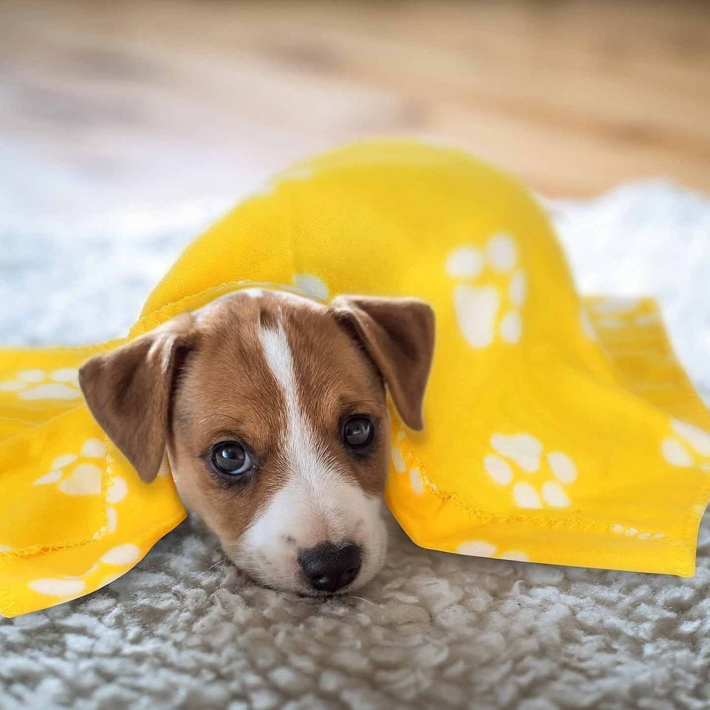 10 Pieces Pet Blankets with Paw Print Dog Cat Fleece Blankets Soft Warm Sleep Mat Pad Bed Cover for Kitten Puppy and Other Small Animals, 24 x 28 Inch - DelightsDownSouth
