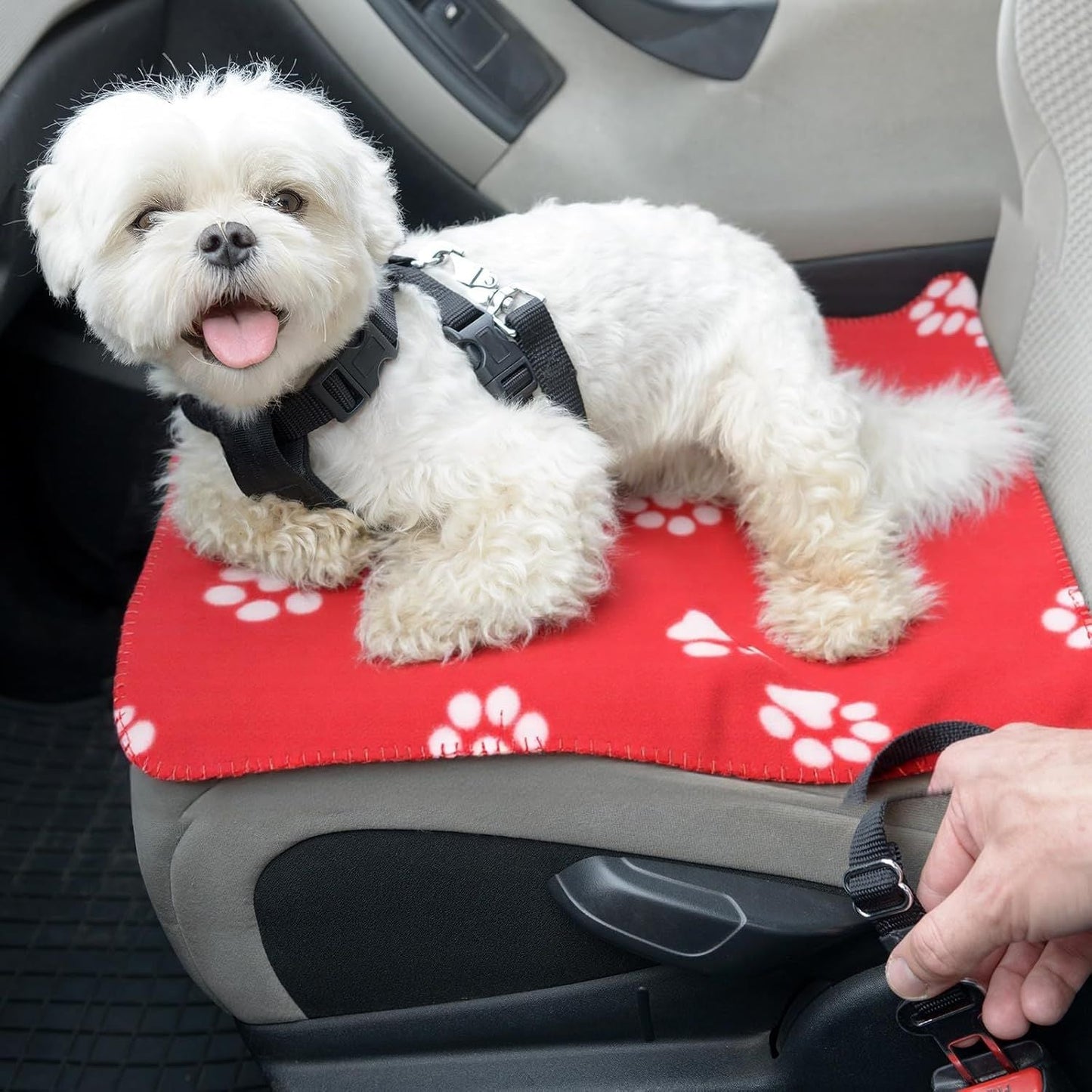 10 Pieces Pet Blankets with Paw Print Dog Cat Fleece Blankets Soft Warm Sleep Mat Pad Bed Cover for Kitten Puppy and Other Small Animals, 24 x 28 Inch - DelightsDownSouth