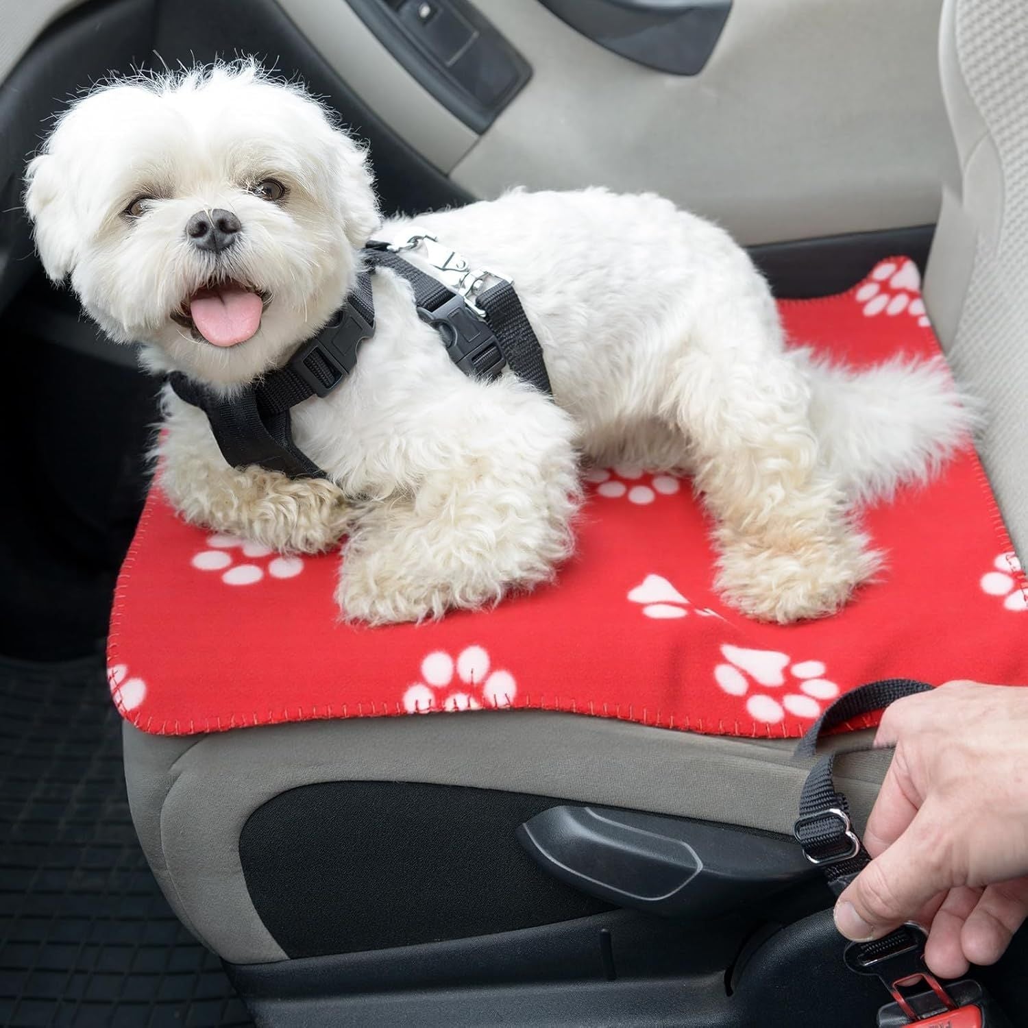 10 Pieces Pet Blankets with Paw Print Dog Cat Fleece Blankets Soft Warm Sleep Mat Pad Bed Cover for Kitten Puppy and Other Small Animals, 24 x 28 Inch - DelightsDownSouth