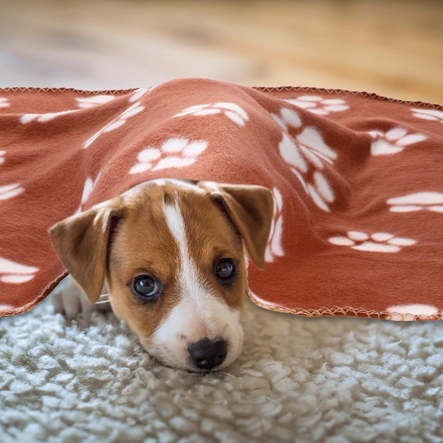 10 Pieces Pet Blankets with Paw Print Dog Cat Fleece Blankets Soft Warm Sleep Mat Pad Bed Cover for Kitten Puppy and Other Small Animals, 24 x 28 Inch - DelightsDownSouth