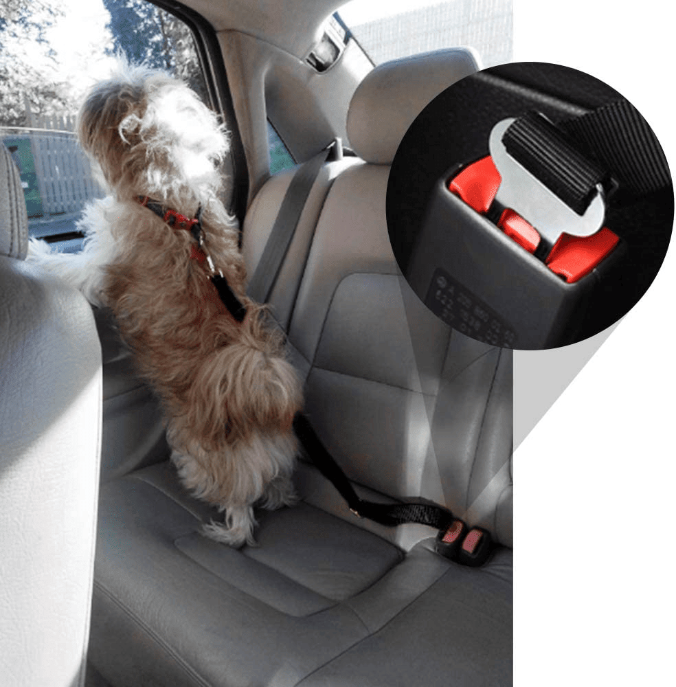 2pcs Pet Dog Cat Car Seat Belt Safety Leash Vehicle Seatbelt Harness - DelightsDownSouth
