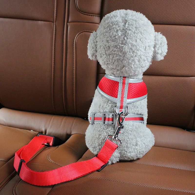 2pcs Pet Dog Cat Car Seat Belt Safety Leash Vehicle Seatbelt Harness - DelightsDownSouth
