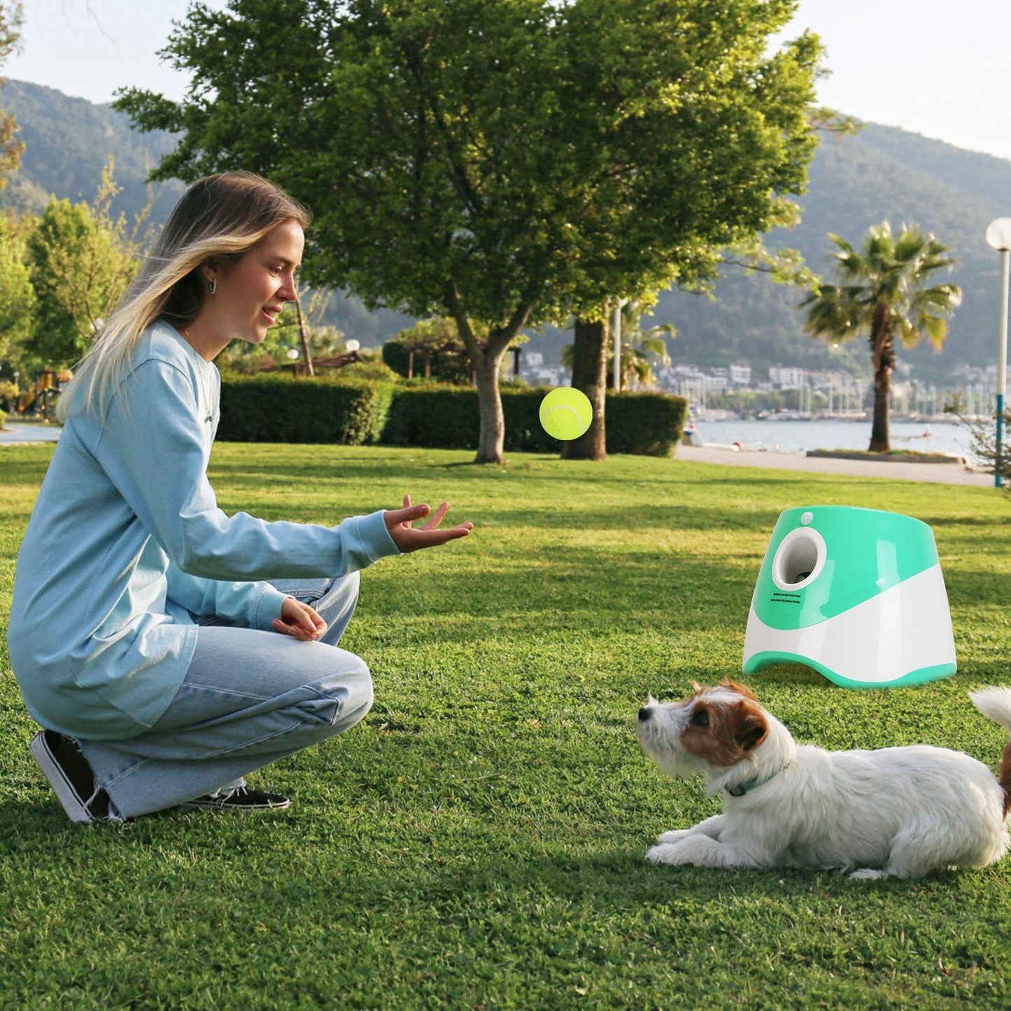 Automatic Dog Ball Launcher Included 6 Tennis Balls Dog With 3 Adjustable Launch Distance Interactive Ball Thrower Fetch Machine For Small Medium Dogs - DelightsDownSouth
