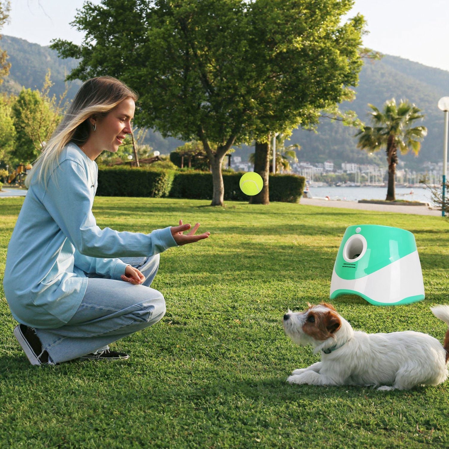 Automatic Dog Ball Launcher Included 6 Tennis Balls Dog With 3 Adjustable Launch Distance Interactive Ball Thrower Fetch Machine For Small Medium Dogs - DelightsDownSouth