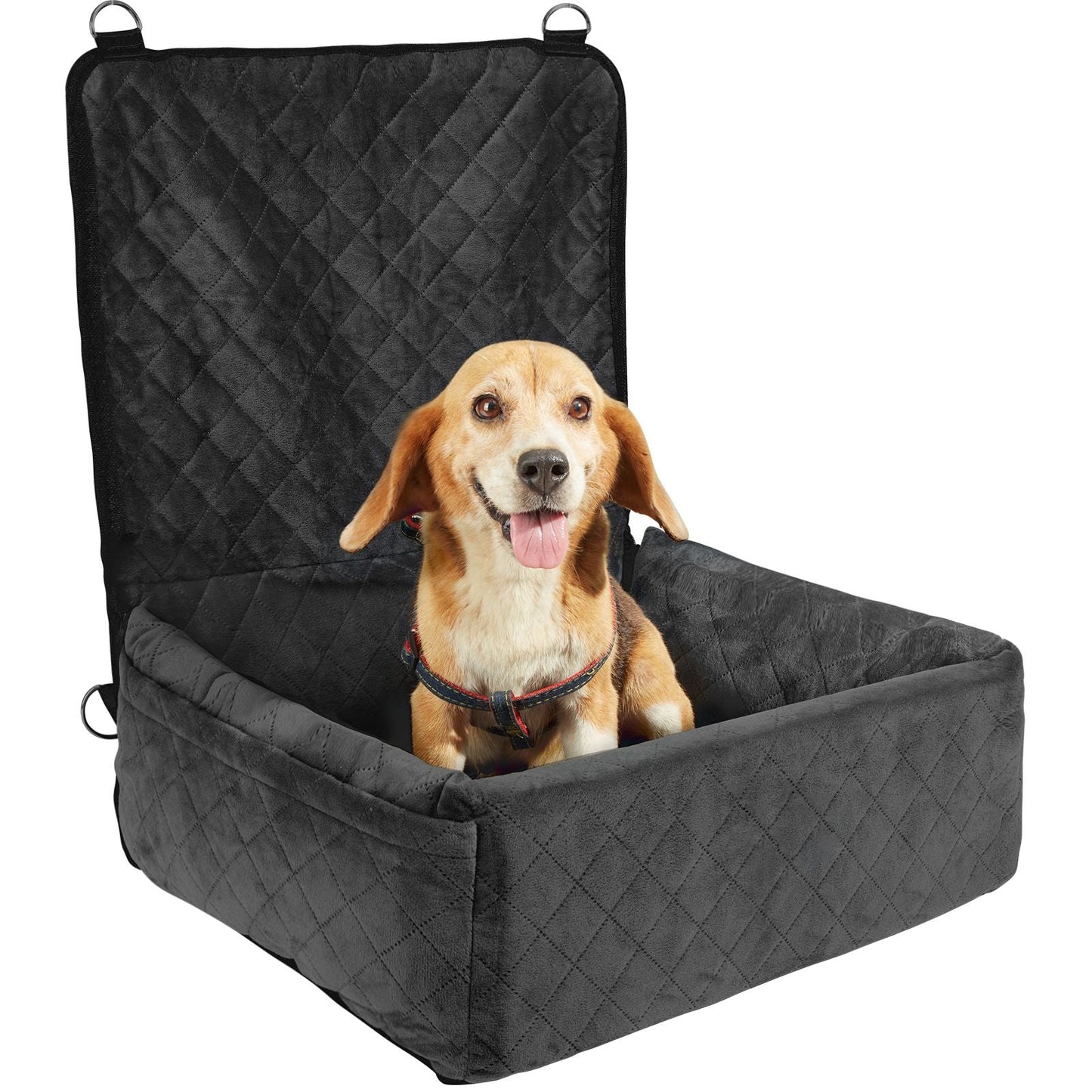 Dog Car Seat, Dog Booster Seat for Car with A Storage Pocket, Clip - On Safety Leash, Sponge and PP Cotton Filling, Dog Car Bed for Small & Medium Dog up to 40lbs, Black - DelightsDownSouth