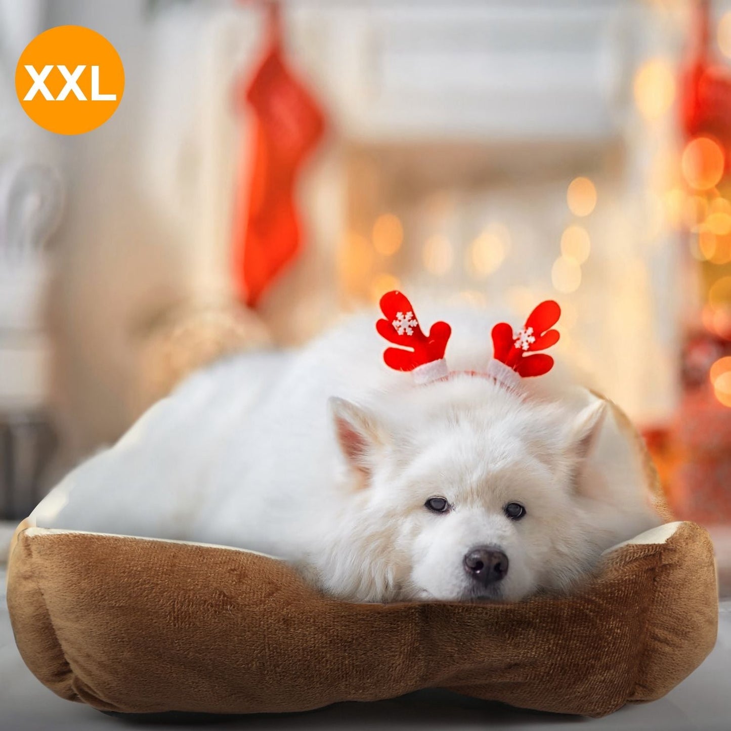 Pet Dog Bed Soft Warm Fleece Puppy Cat Bed Dog Cozy Nest Sofa Bed Cushion Mat XXL Size - DelightsDownSouth