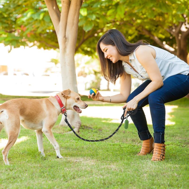 Rope Dog Leash with Padded Handle for Medium Large Dogs - DelightsDownSouth