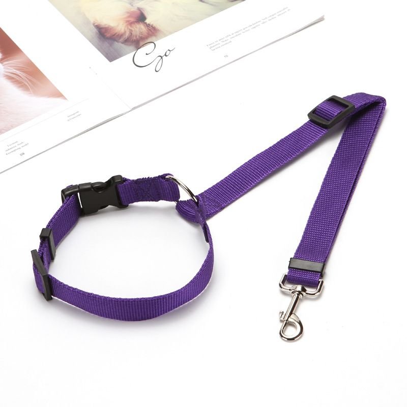Solid Color 2 In 1 Pet Car Seat Belt Nylon Lead Leash Backseat Safety Belt Adjustable For Dog & Cat - DelightsDownSouth