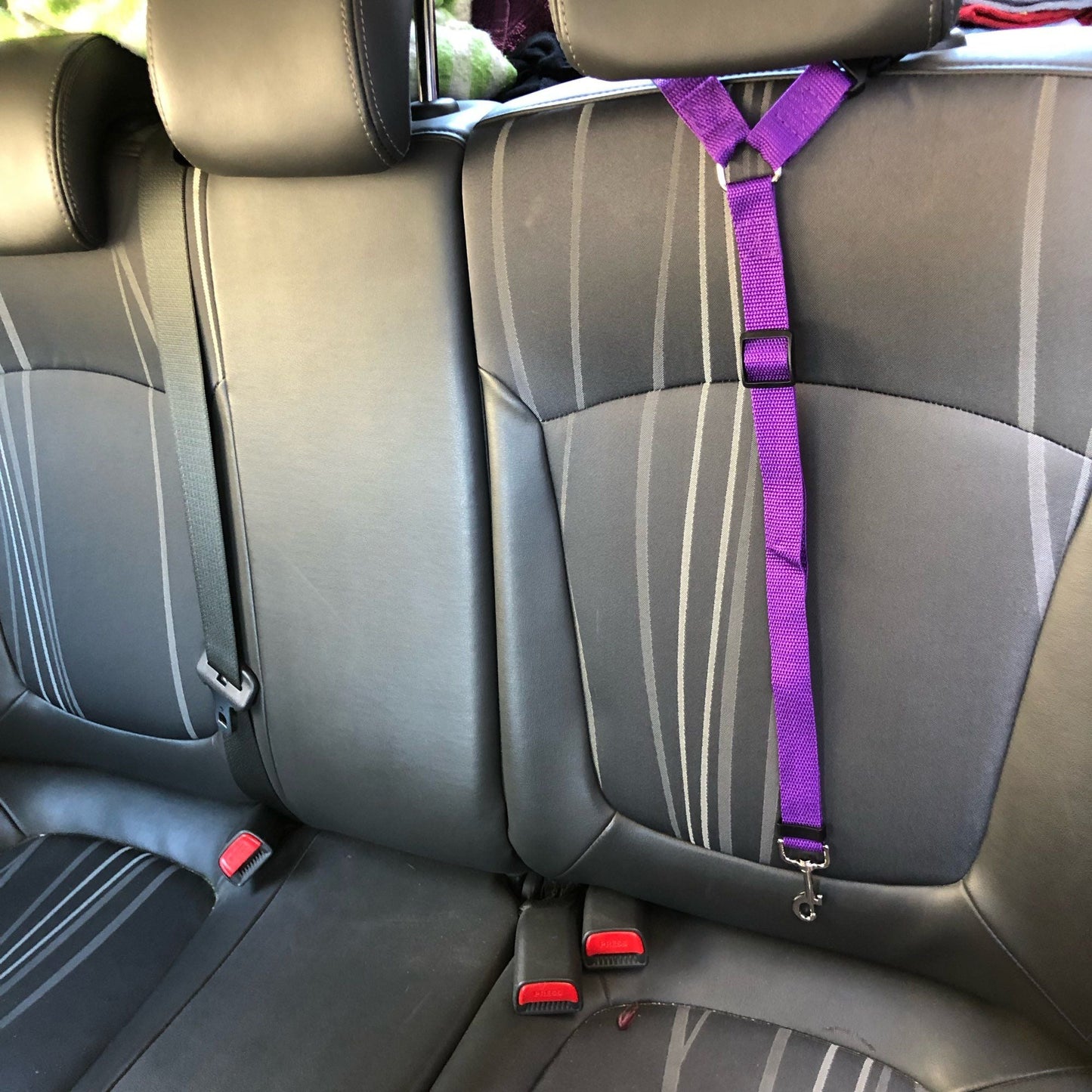 Solid Color 2 In 1 Pet Car Seat Belt Nylon Lead Leash Backseat Safety Belt Adjustable For Dog & Cat - DelightsDownSouth
