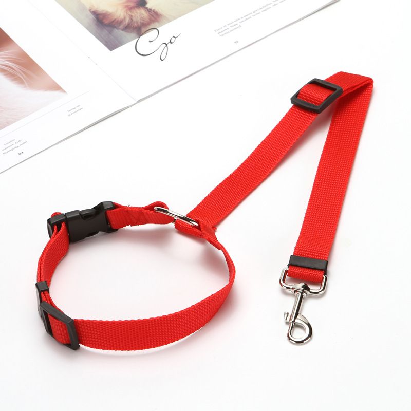 Solid Color 2 In 1 Pet Car Seat Belt Nylon Lead Leash Backseat Safety Belt Adjustable For Dog & Cat - DelightsDownSouth