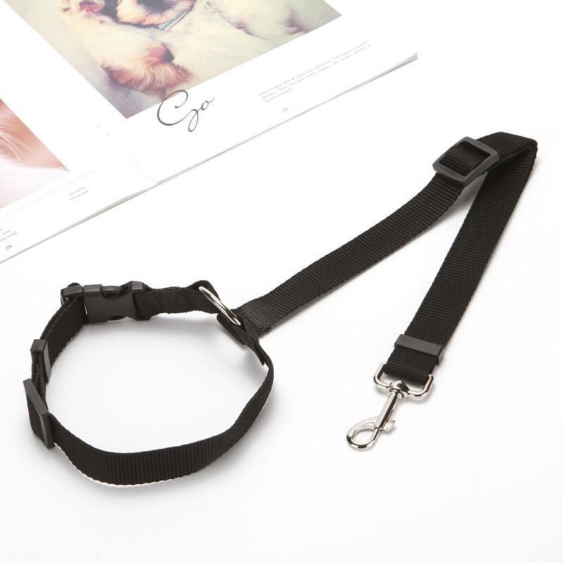 Solid Color 2 In 1 Pet Car Seat Belt Nylon Lead Leash Backseat Safety Belt Adjustable For Dog & Cat - DelightsDownSouth