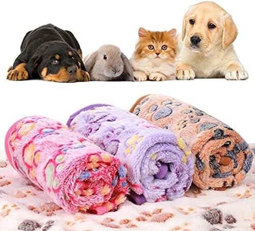 Tatuo 4 Pcs Dog Blanket for Pet Puppy Teething Toys Paw - DelightsDownSouth